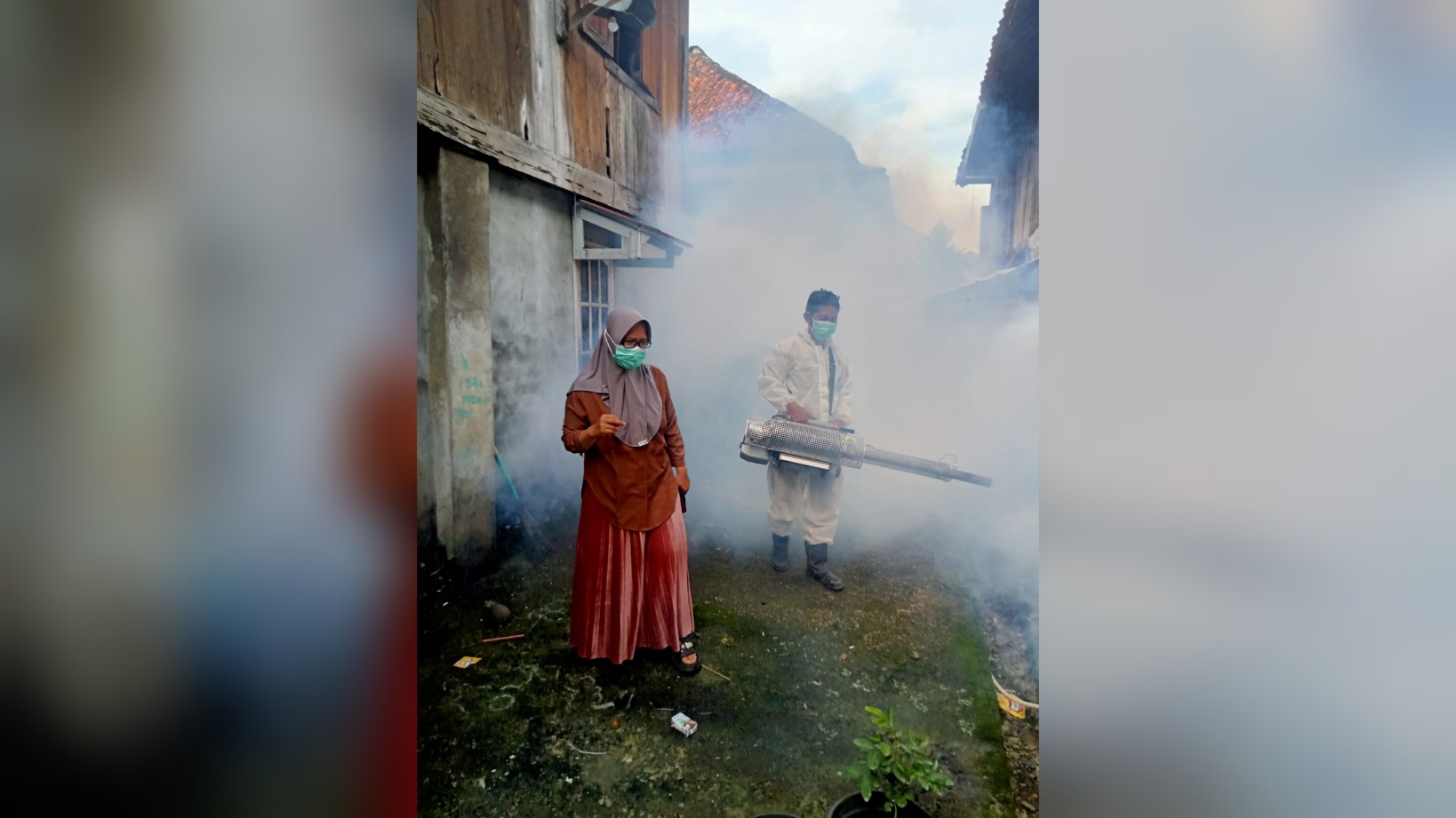 Hanya Nyamuk Dewasa yang Musnah melalui Fogging Massal