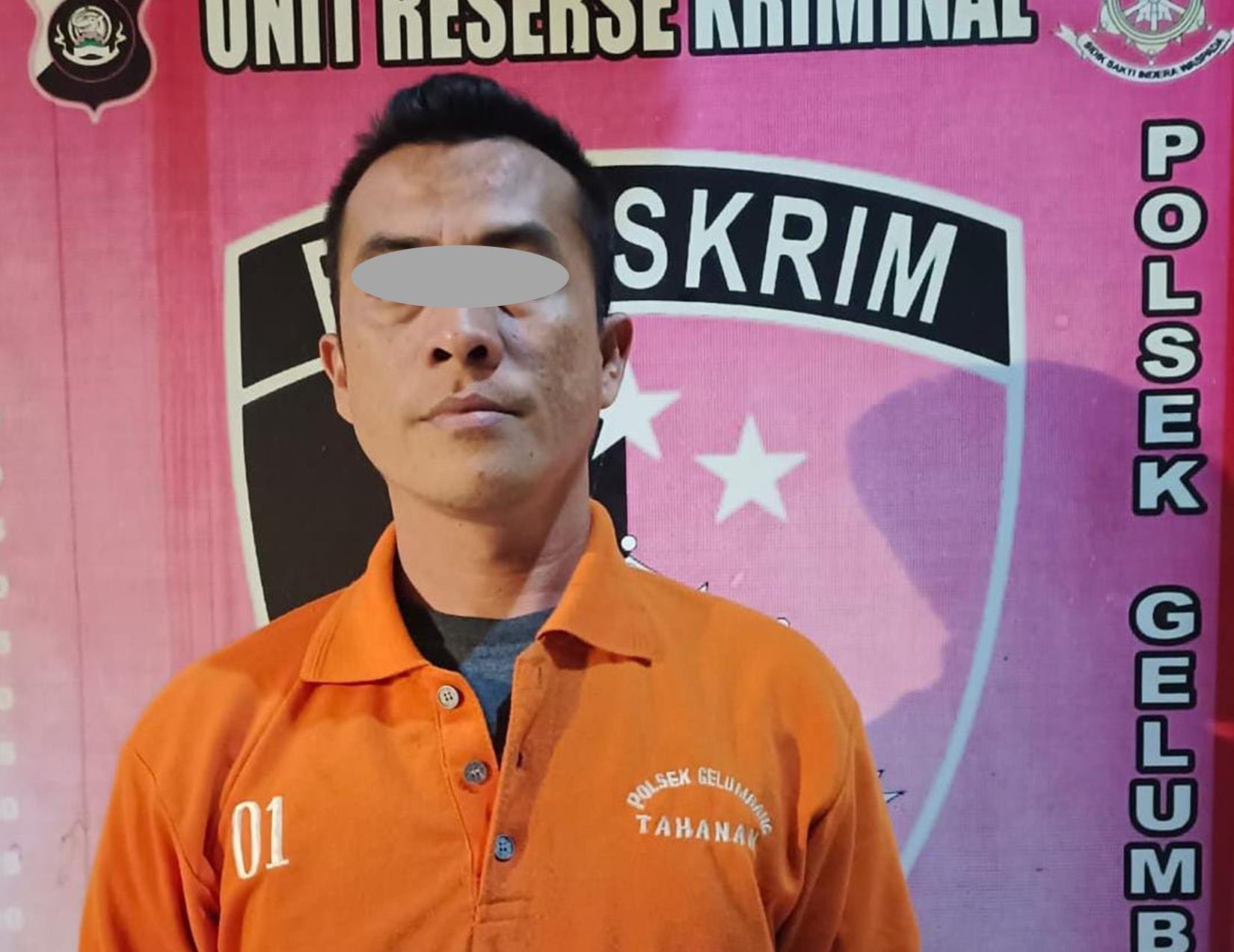 Tim Puma Polsek Gelumbang Tangkap Pria Pengangguran yang Curi Laptop di SMK Negeri 1 Gelumbang