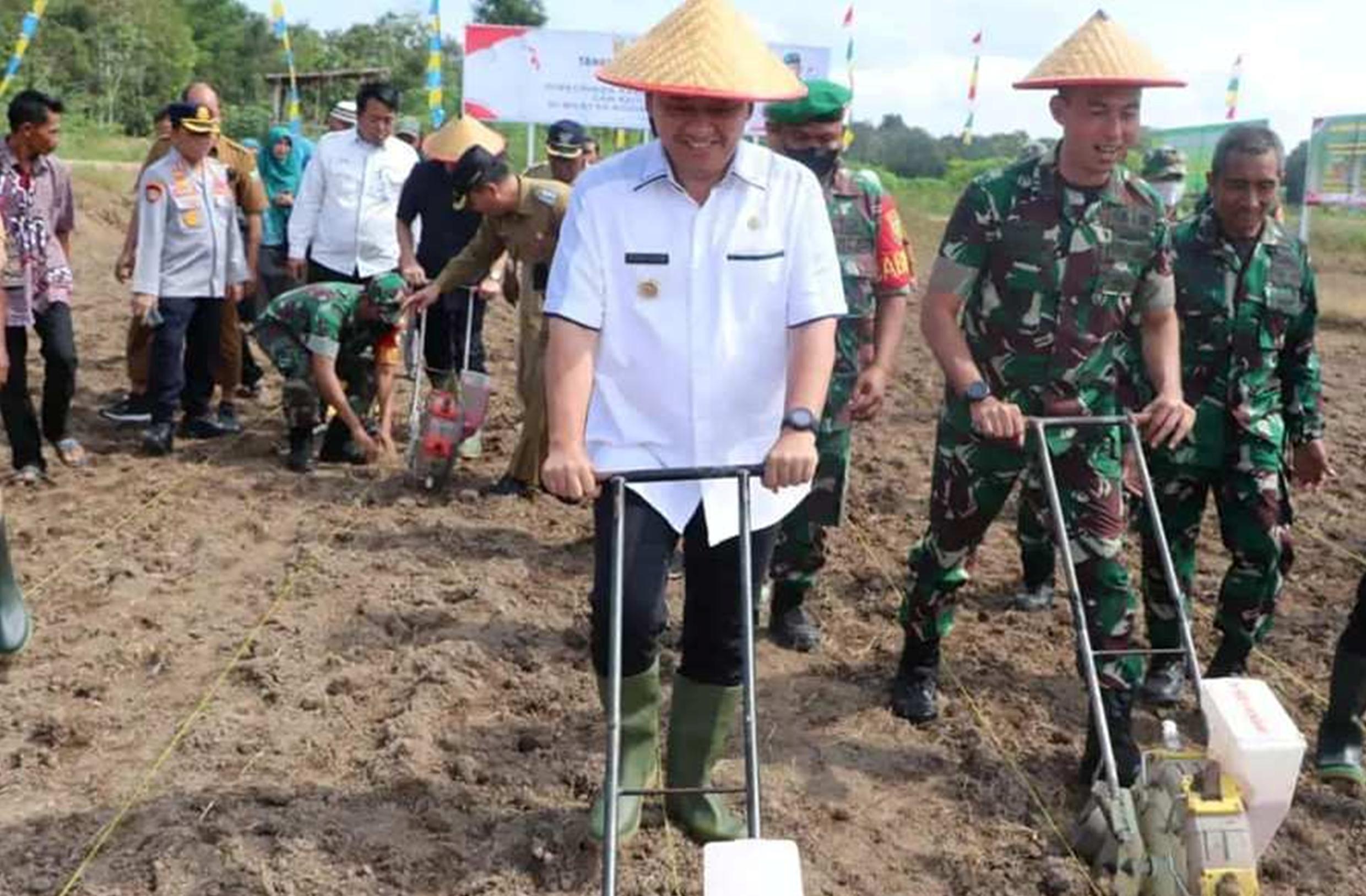 Sukseskan Program Ketahanan Pangan Nasional, Pemkab Bersama Kodim 0404/ME Laksanakan Penanaman Jagung