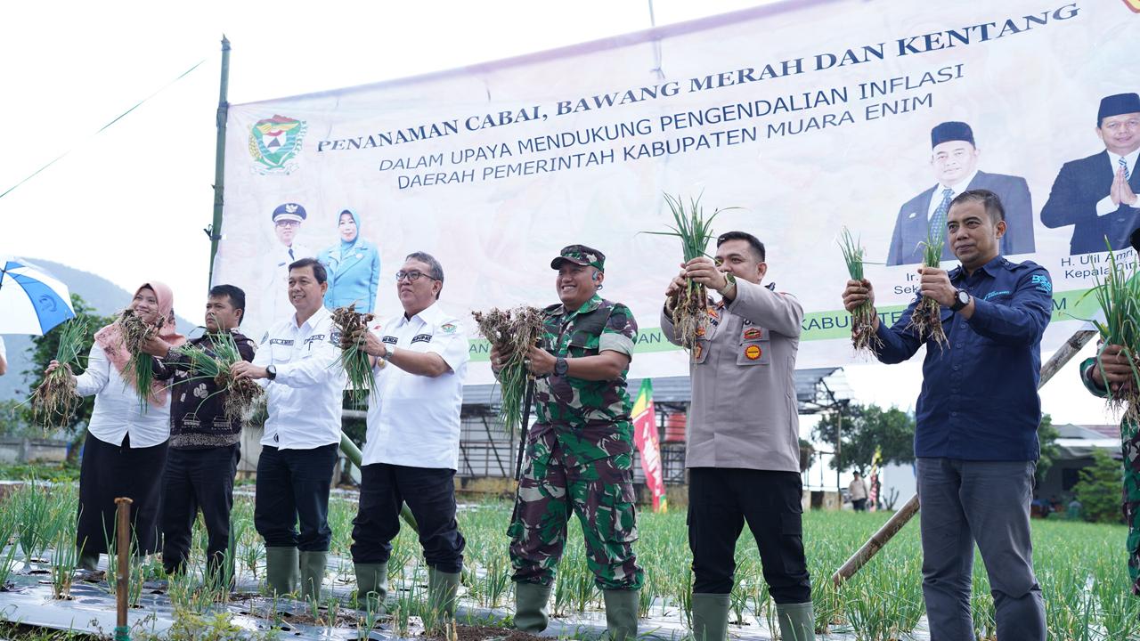 Pemkab Muara Enim Luncurkan Gerakan Menanam Bawang Merah, Cabai dan Kentang