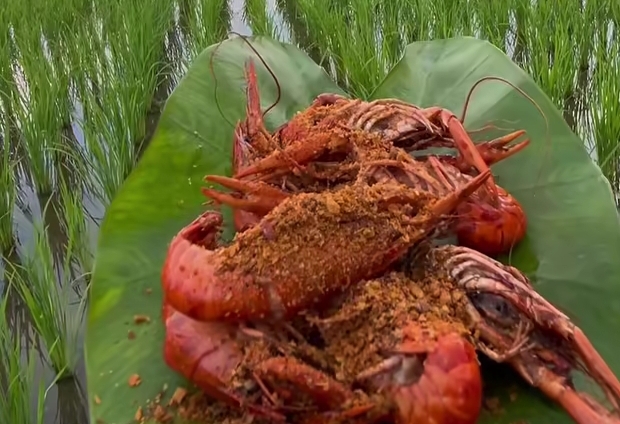 Wajib Diketajui! Ini 6 Manfaat dan 4 Efek Samping Lobster Air Tawar
