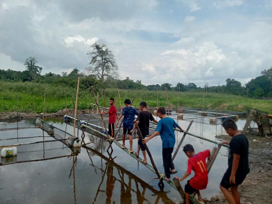 Warga Ayek Puteh Muara Enim Manfaat Danau Kangkung untuk Budidaya Ikan Nila