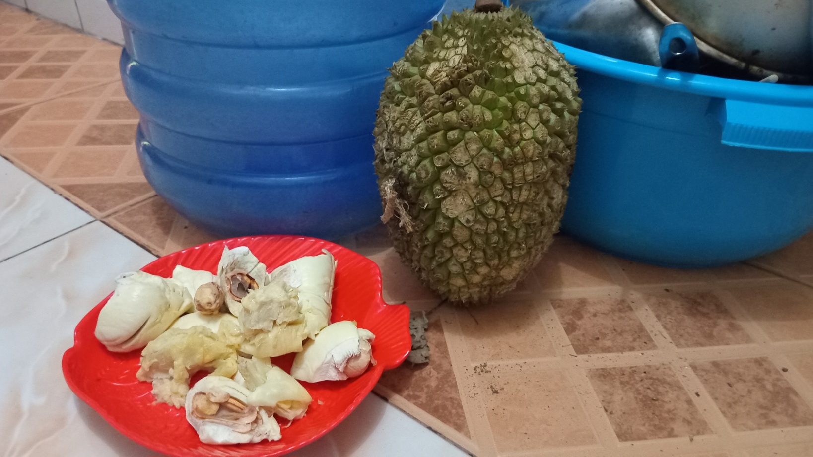 Sekarang Musim Durian, Jangan Asal Santap Aja, Perhatikan Hal Penting Ini