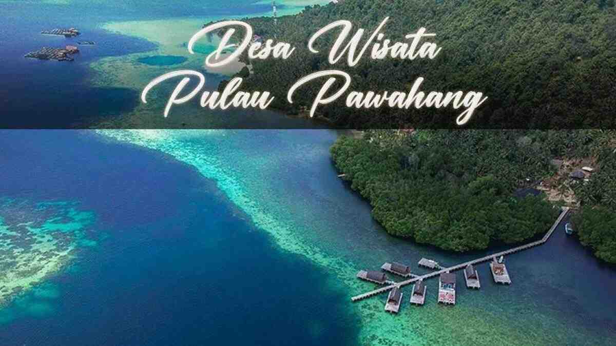 Ingin Wisata ke Pulau Pahawang dengan Budget Minim? Yuk Ikuti Tipsnya di Bawah Ini