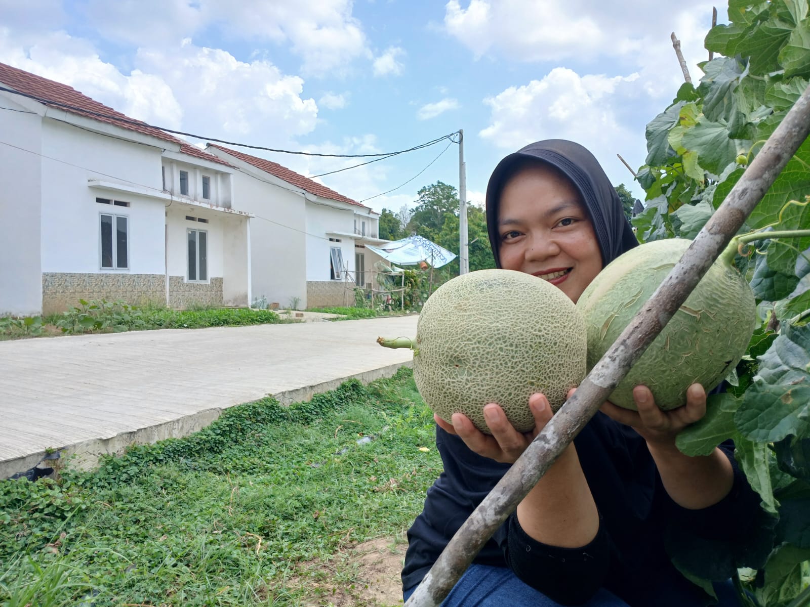 Suplai Kebutuhan Buah Segar untuk Keluarga
