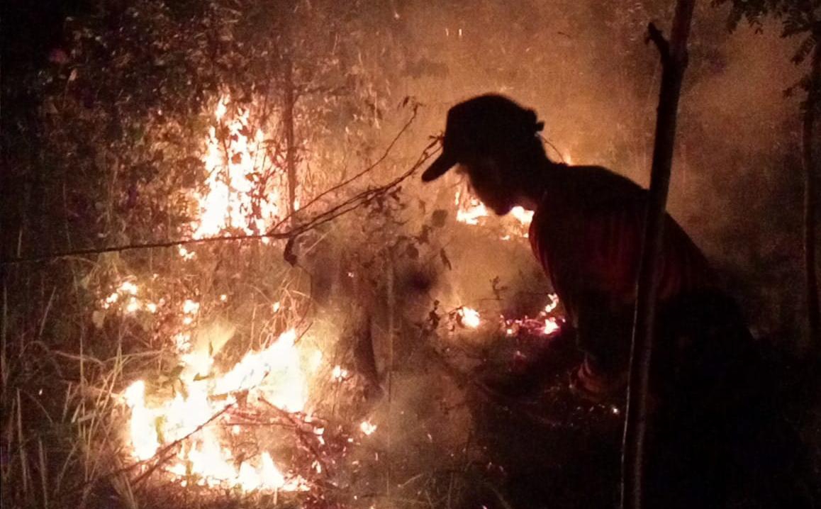 Sehari 4 Hektare Lahan Terbakar di Muara Enim