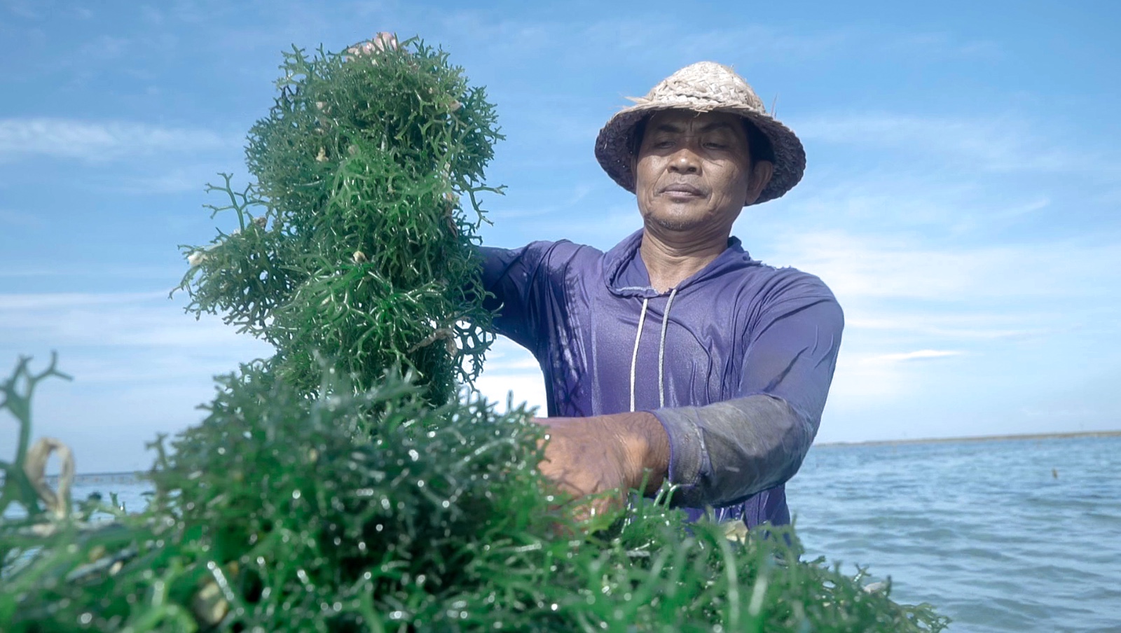 Ini Dia 5 Komitmen Nyata BRI Dorong Peningkatan Kualitas Dan Daya Saing UMKM