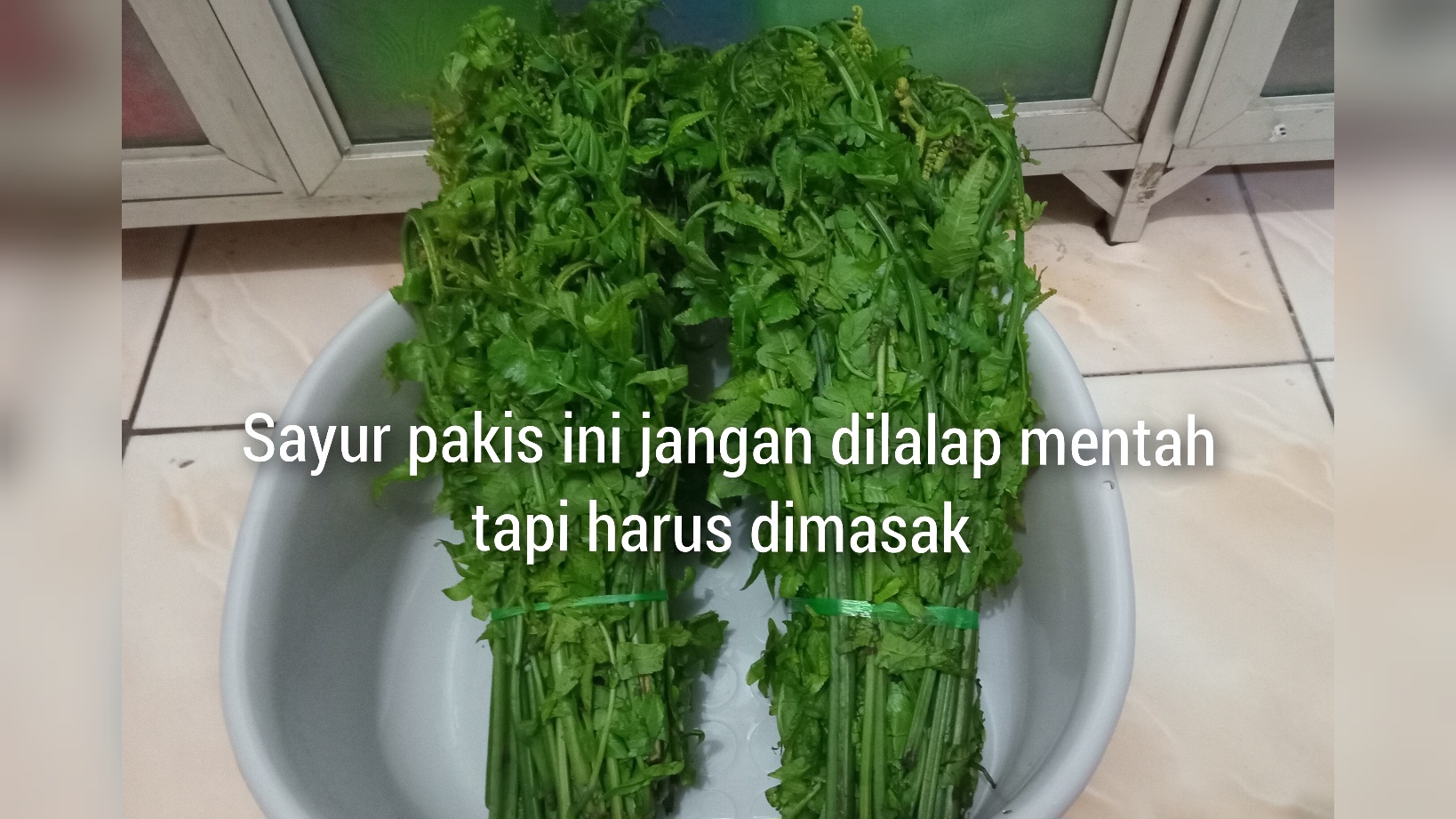 Daun Pakis Jangan Dilalap Mentah tapi Dimasak Rebus atau Tumis Baru Dapat Khasiatnya