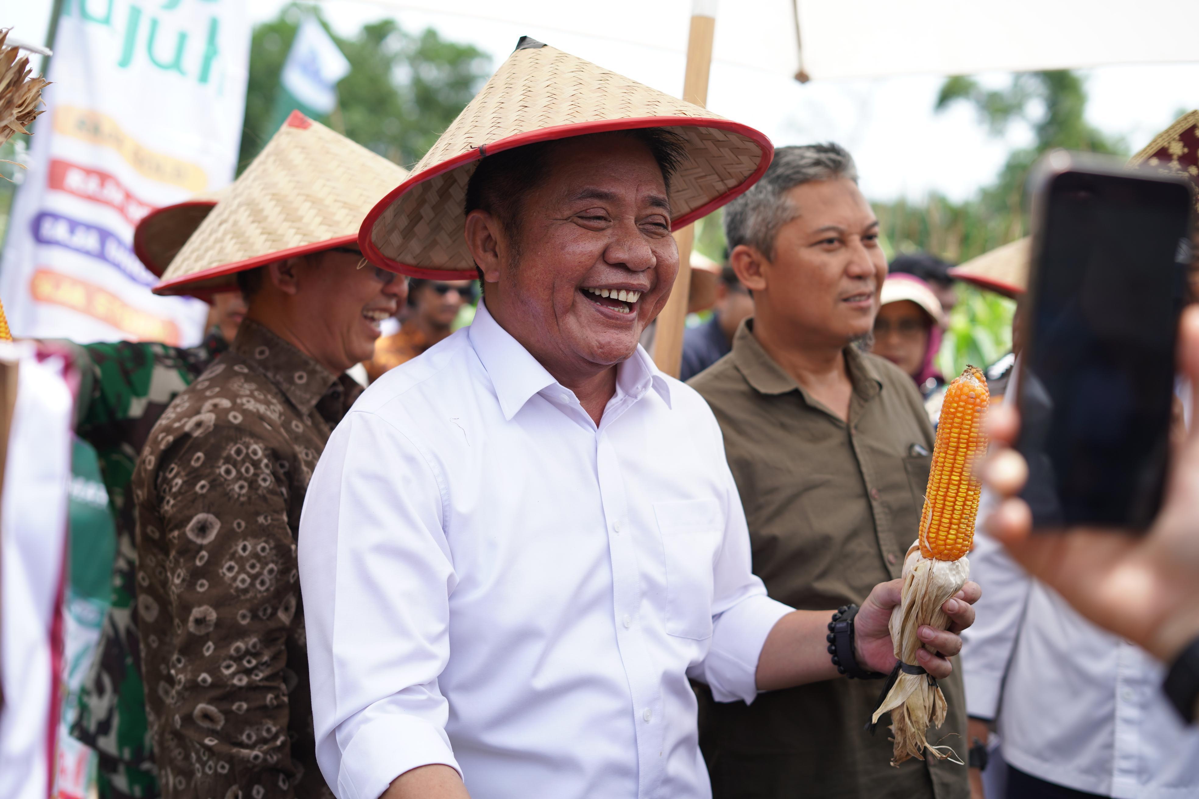 Sumsel Masuk 5 Besar Nasional, Gubernur Herman Deru Dorong Intensifikasi Pertanian