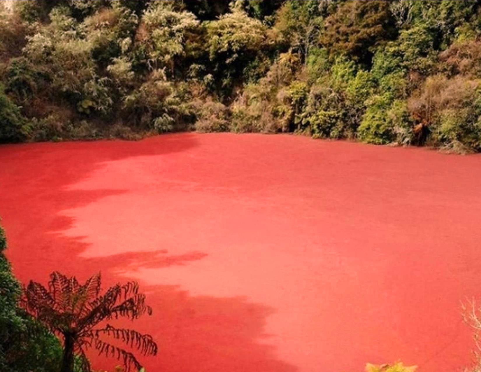 Danau Merah di Sumsel Ini Ditemukan Warga Pada Tahun 2010 Lalu, Begini Ceritanya
