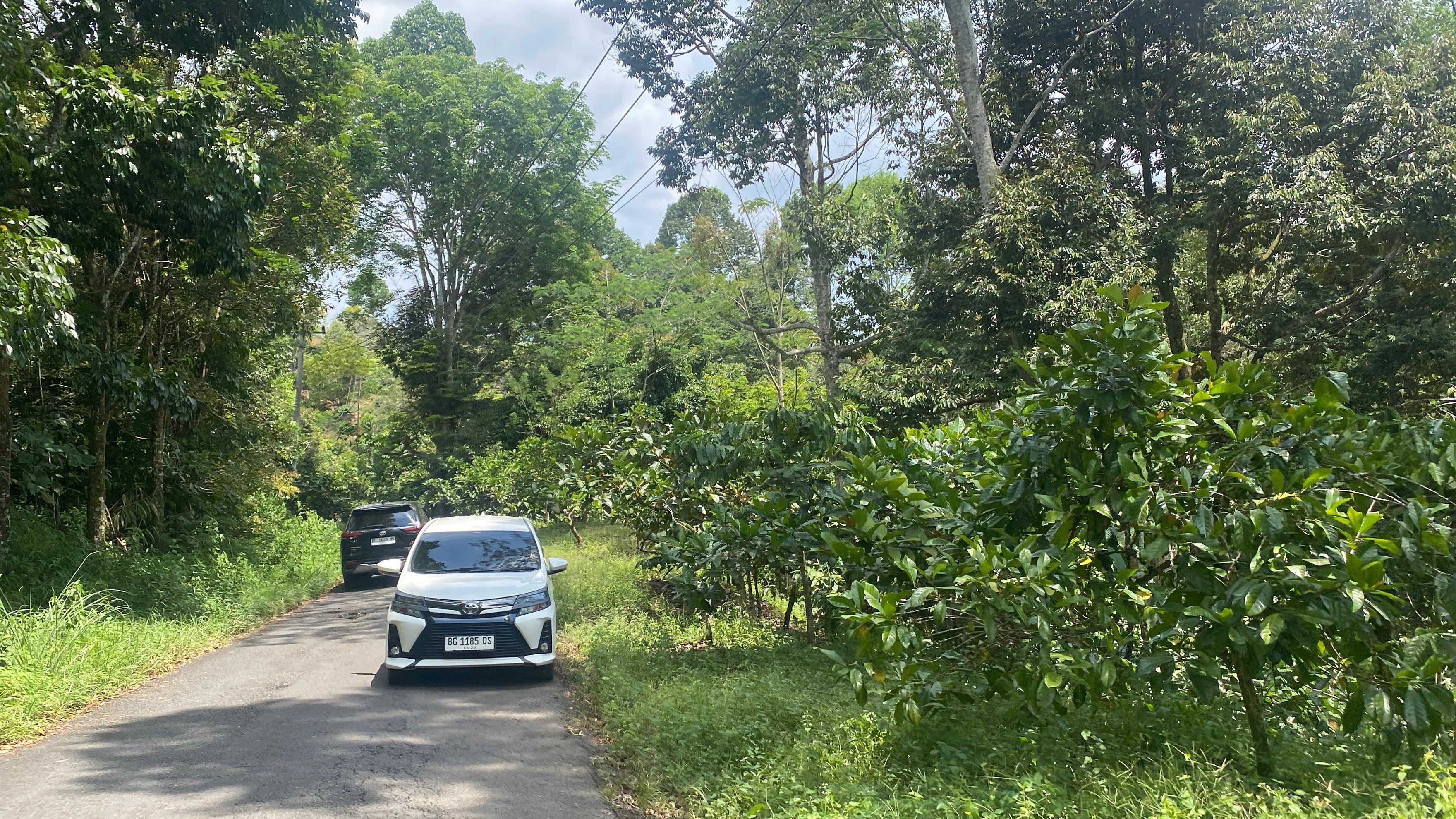 DPRD Sumsel Prioritaskan Perbaikan Jalan Simpang Meo-Pulau Panggung