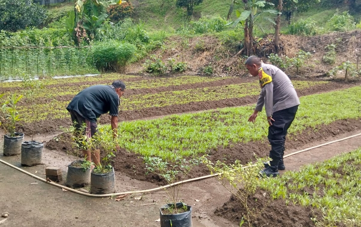 Bhabinkamtibmas Desa Karang Raja Dorong Masyarakat Manfaatkan Lahan Produktif