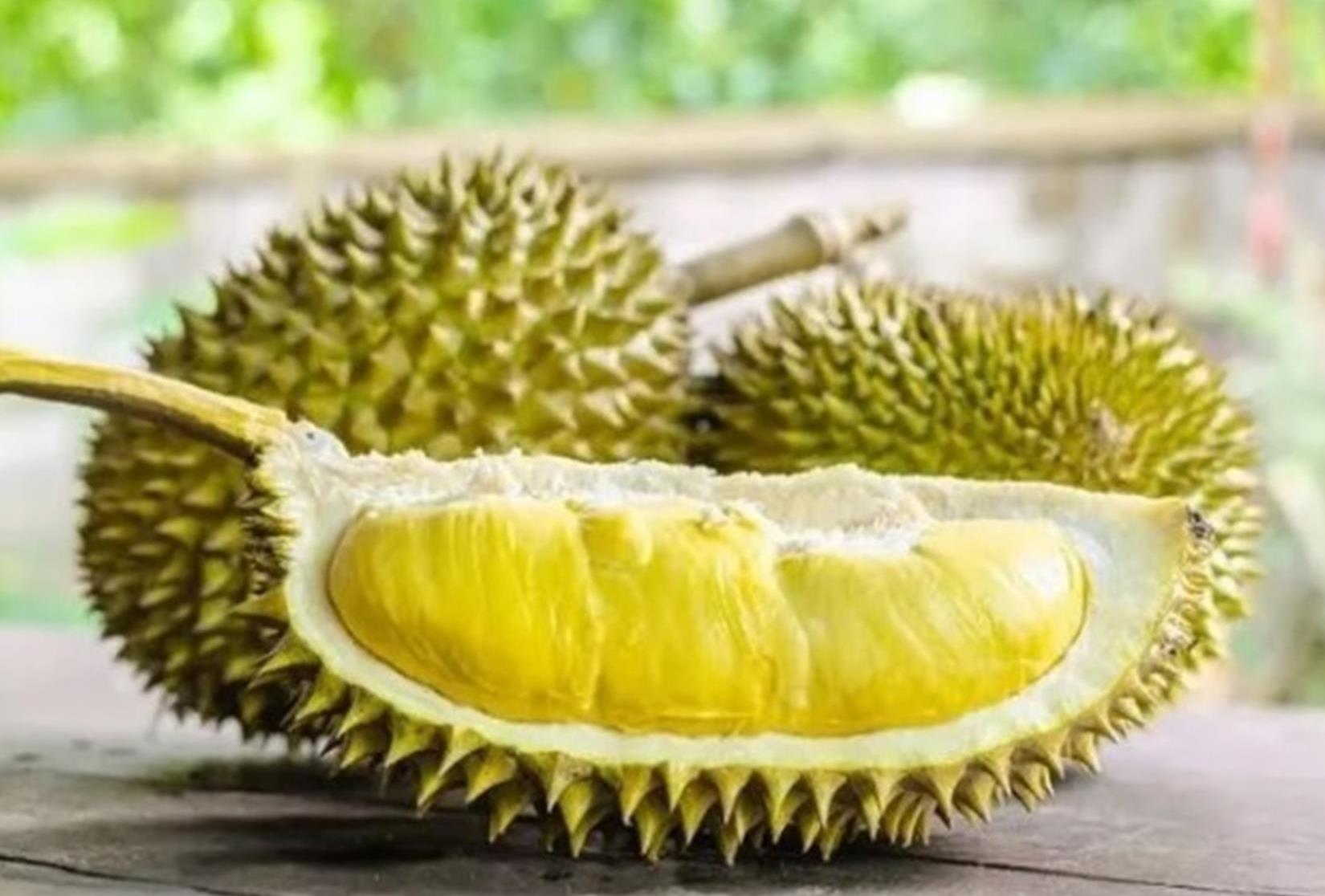 Pecinta ‘Raja Buah’ Masih Bingung, Bolehkah Durian Dikonsumsi Setiap Hari? Yuk Simak Penjelasannya di Sini