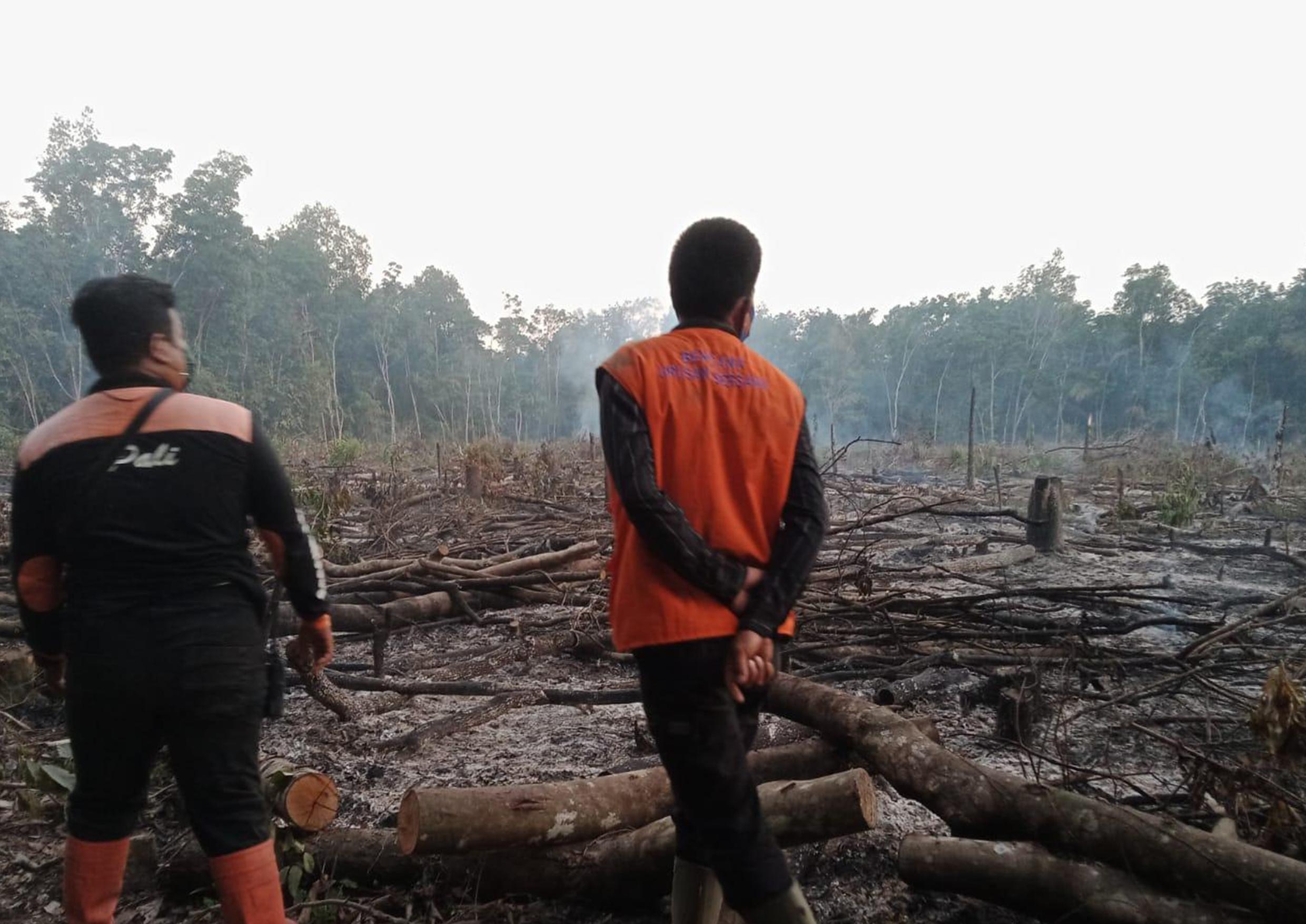 Sepanjang 2021, Lahan Seluas 17 Hektare Terbakar
