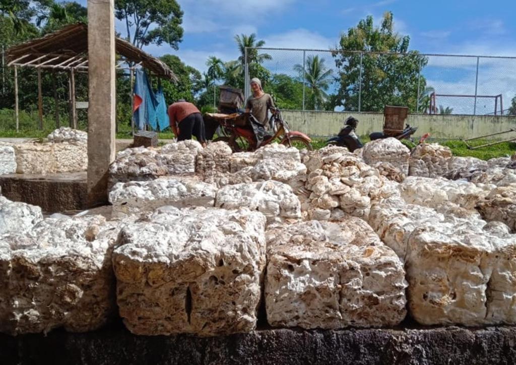 Kabar Gembira! Harga Karet Berangsur Naik