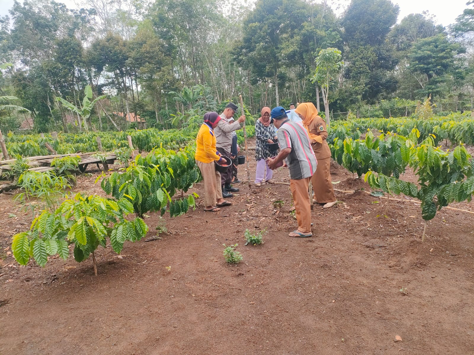 Polsek Tanjung Agung Semai Ketahanan Pangan Bersama Petani