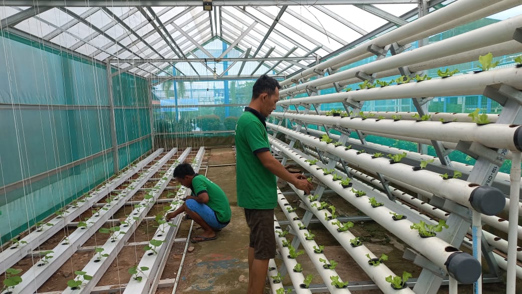 Lapas Muara Enim Tanam Melon Belanda dan Sayur Hidroponik