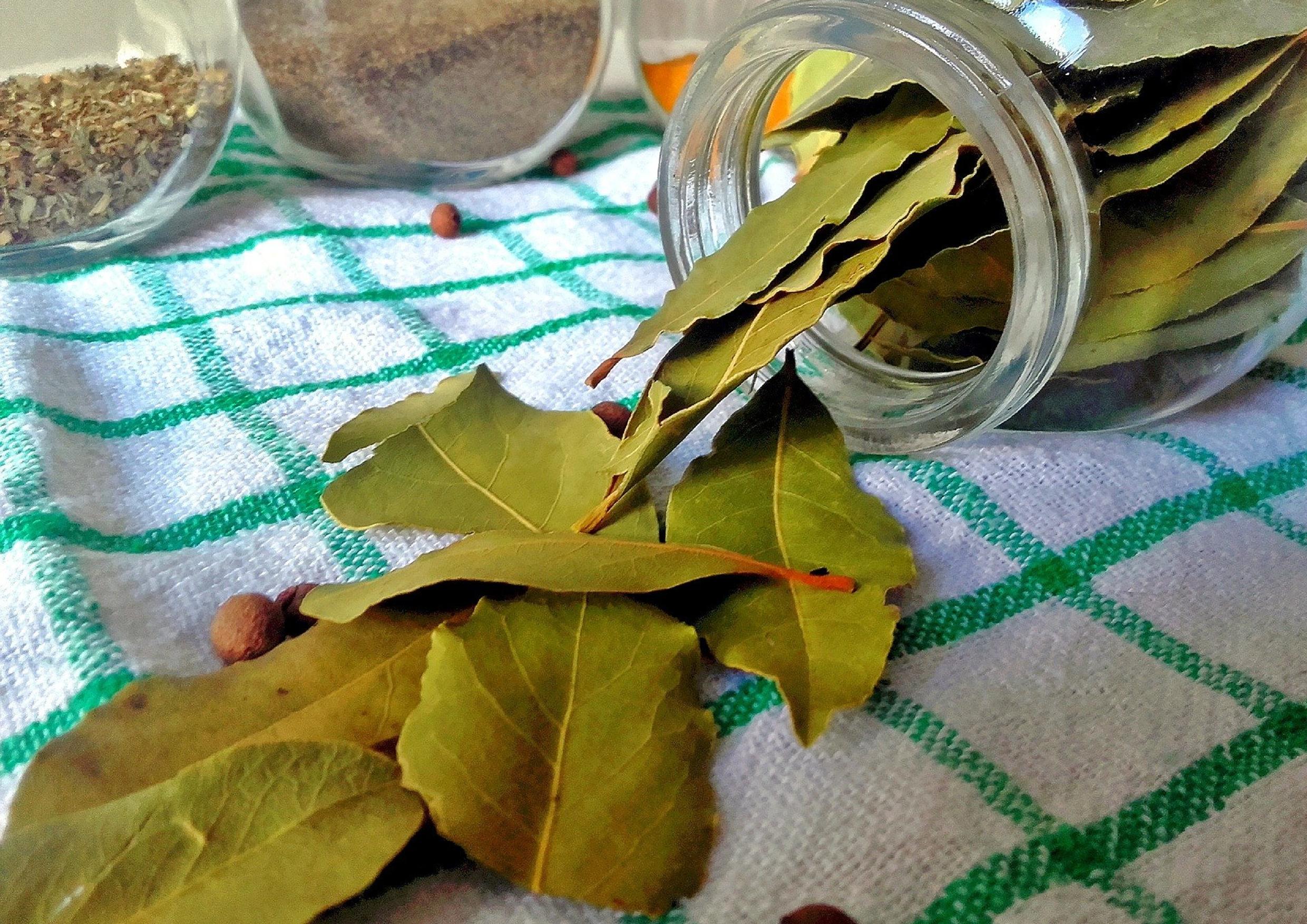 4 Manfaat Daun Salam Bakar untuk Kesehatan, Simak di Sini