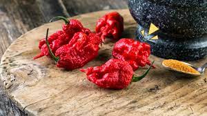 Carolina Reaper, Masih Bertahan Sebagai Cabai Terpedas di Dunia.