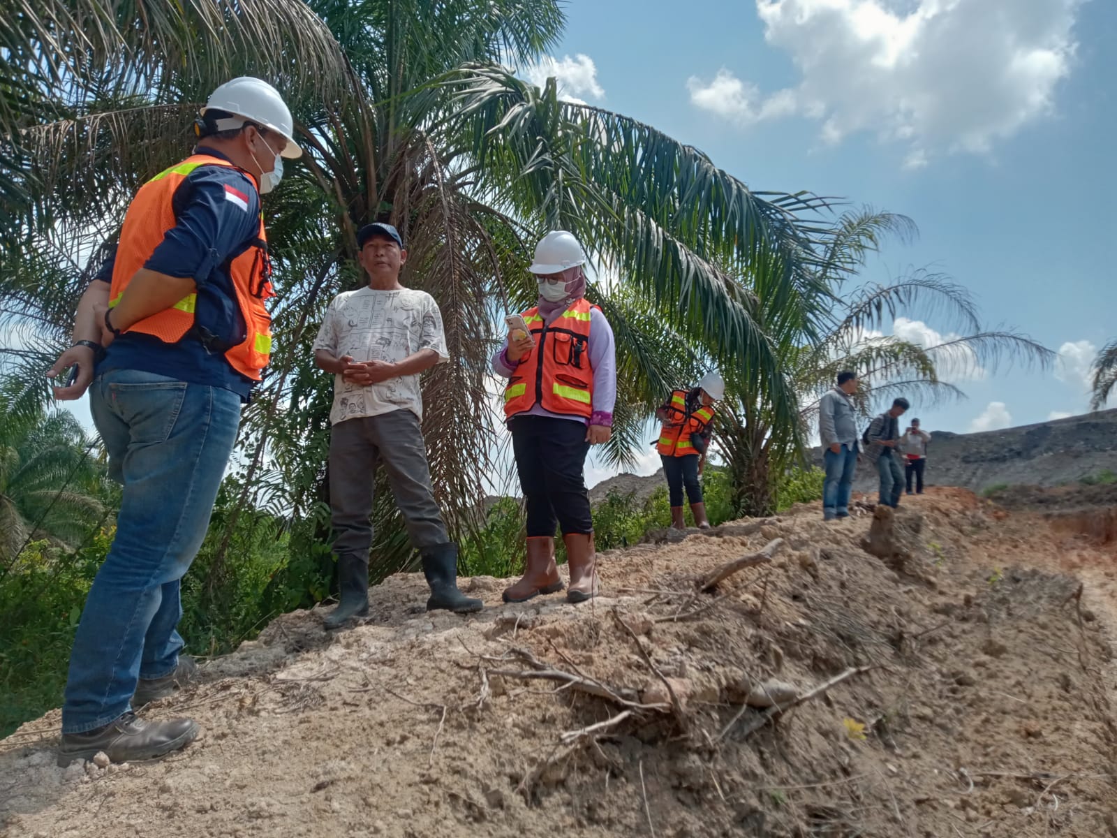 Tertimbun Disposal PT RMKO, Ratusan Batang Sawit Warga Gunung Megang Muara Enim Terancam Mati