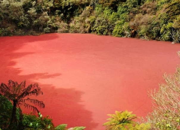 Libur Tahun Baru Tiba, Yuk Berwisata ke Danau Ini, Airnya Berwarna Merah Loh!