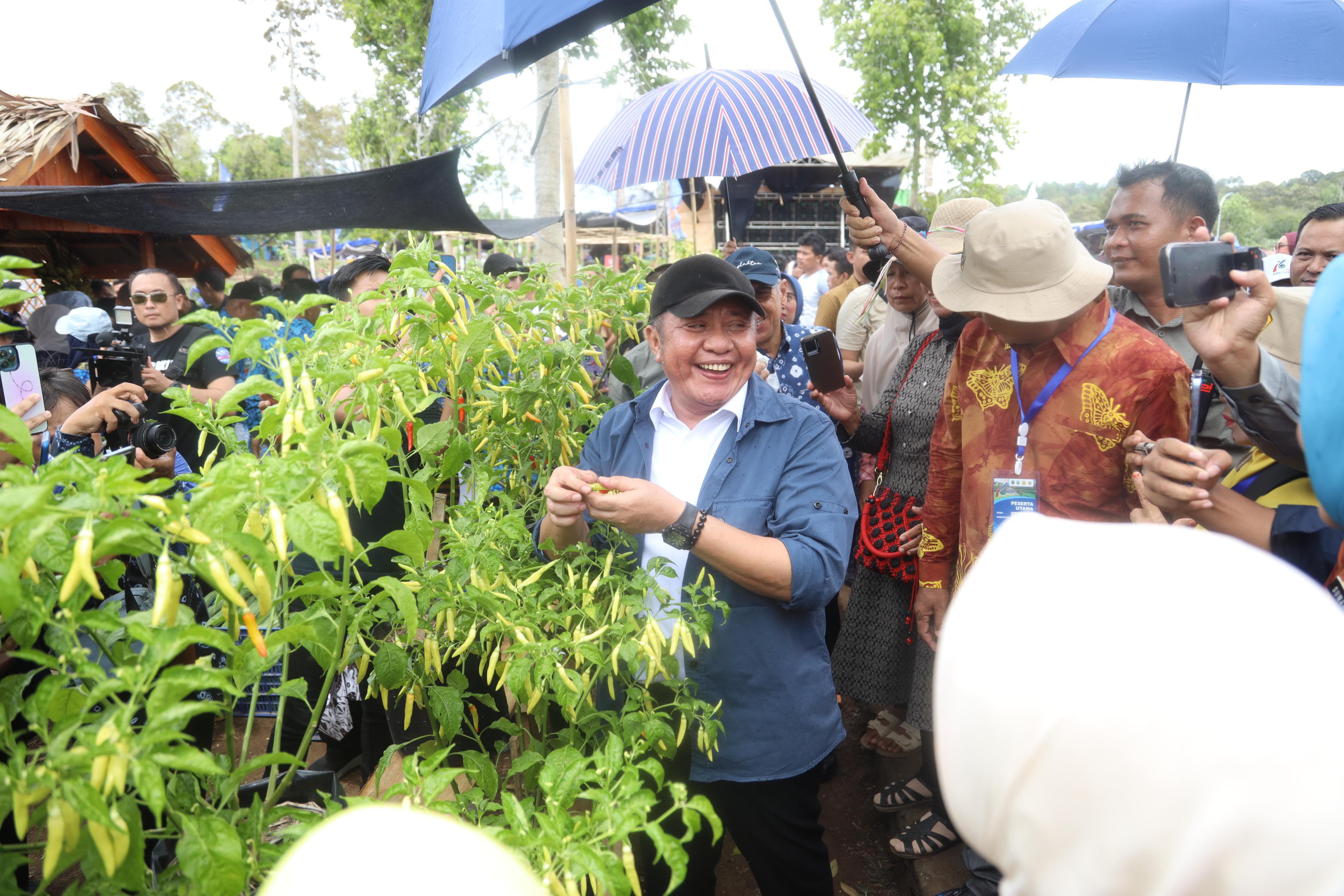 Gubernur Herman Deru Ajak Petani Sumsel Masuk Era Pertanian Modern Berbasis Hilirisasi