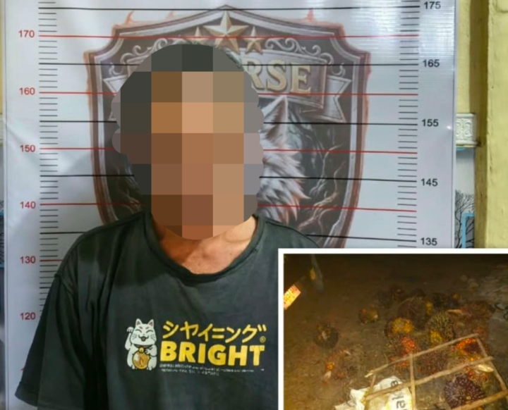 Curi 28 Tandan Buah Sawit, Polsek Lubai Tangkap Satu Pelaku