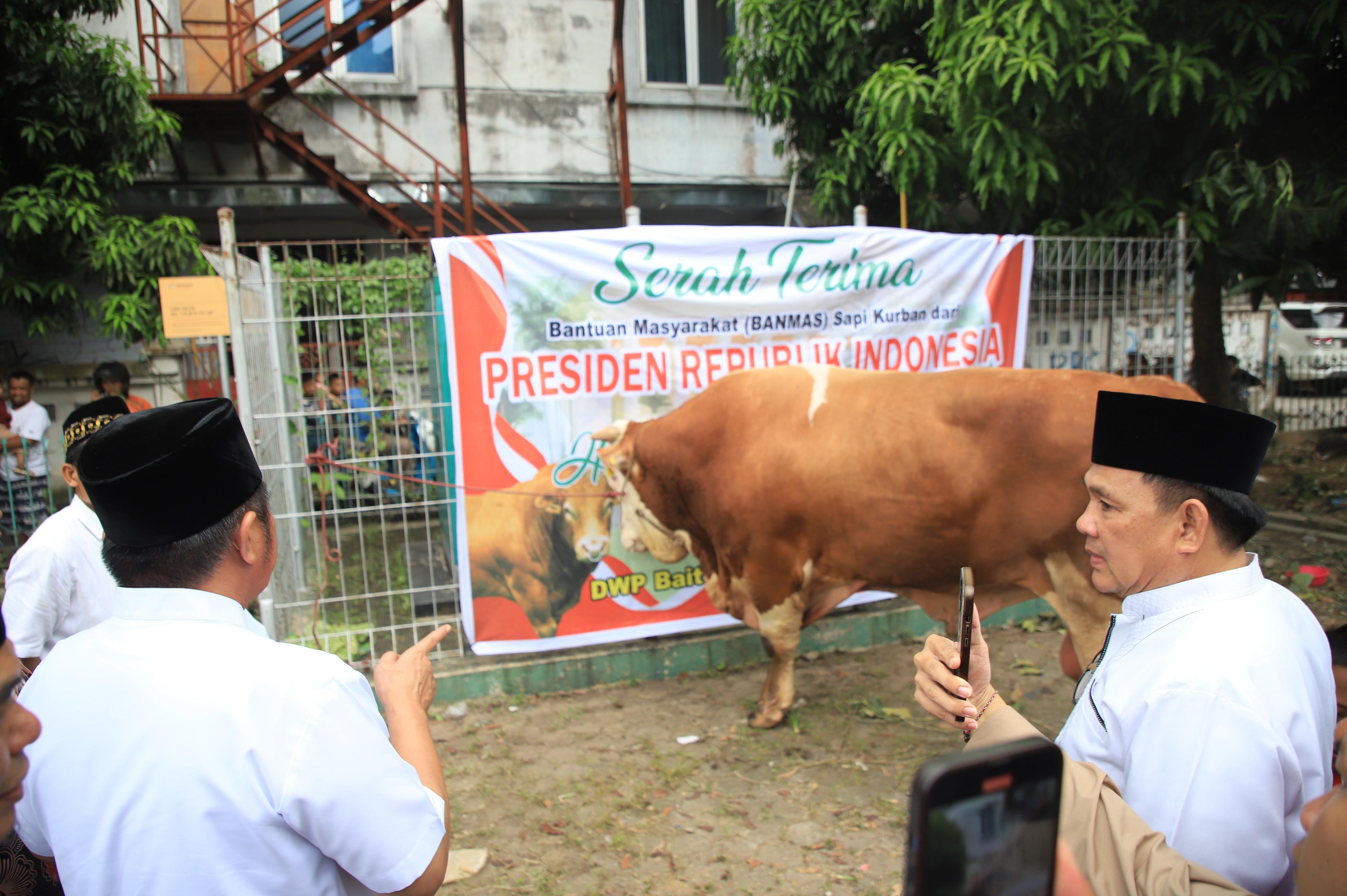 Gubernur Herman Deru Tinjau Pemotongan Hewan Kurban, Begini Katanya