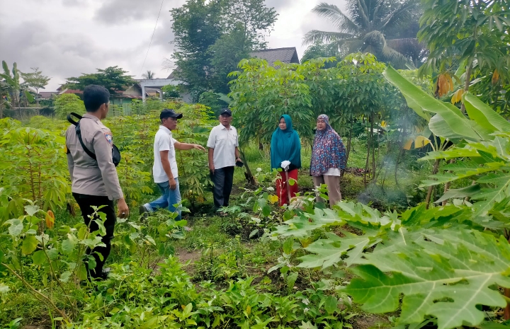 Dukung Kebutuhan Pangan Lokal