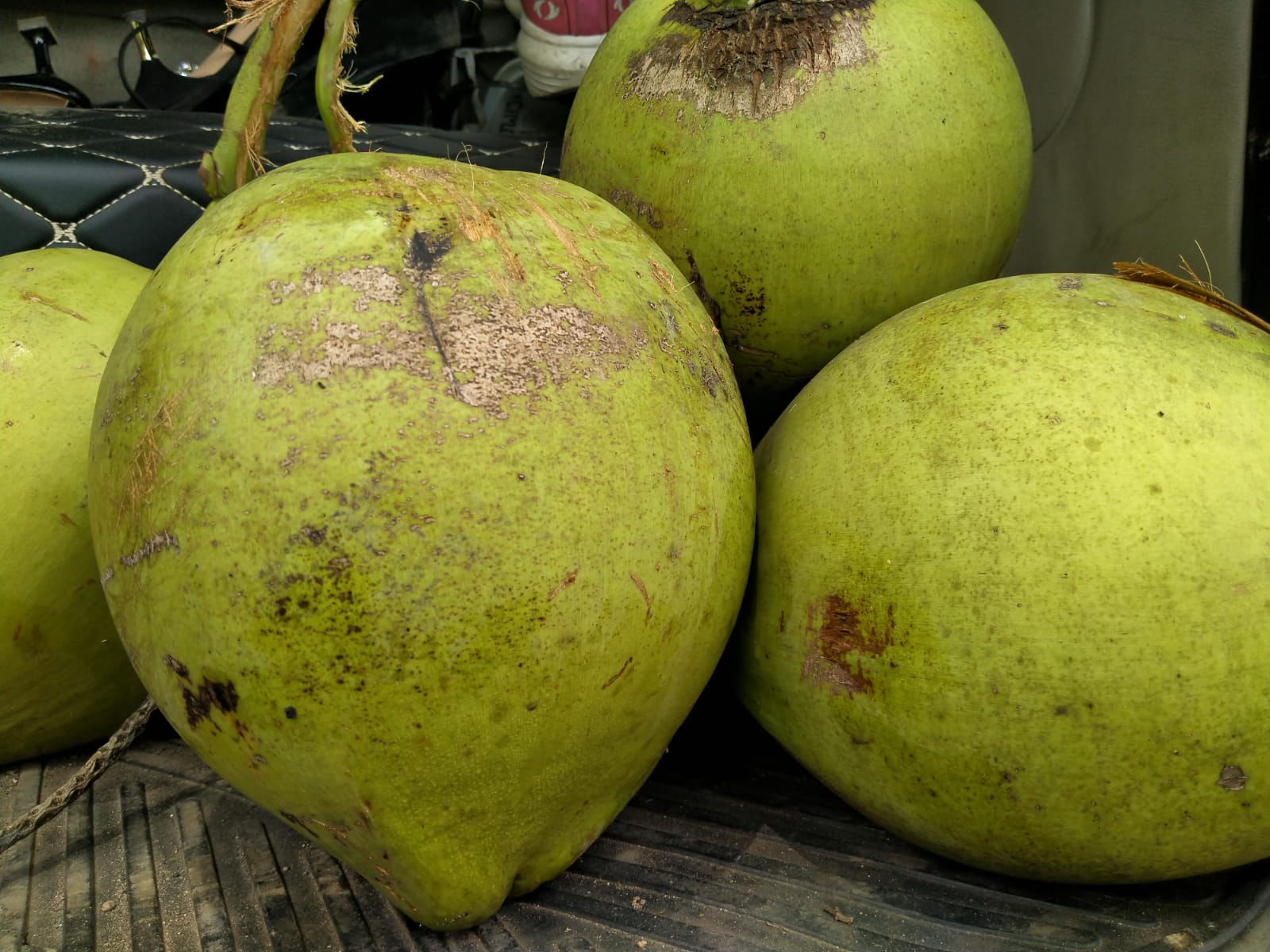 6 Manfaat Kelapa Muda untuk Orang yang Berpuasa