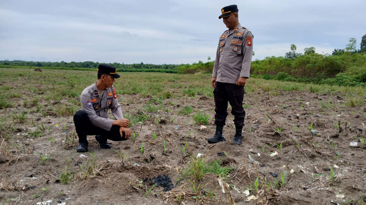 Anggota Polsek Lembak Tinjau Progres Penanaman Jagung