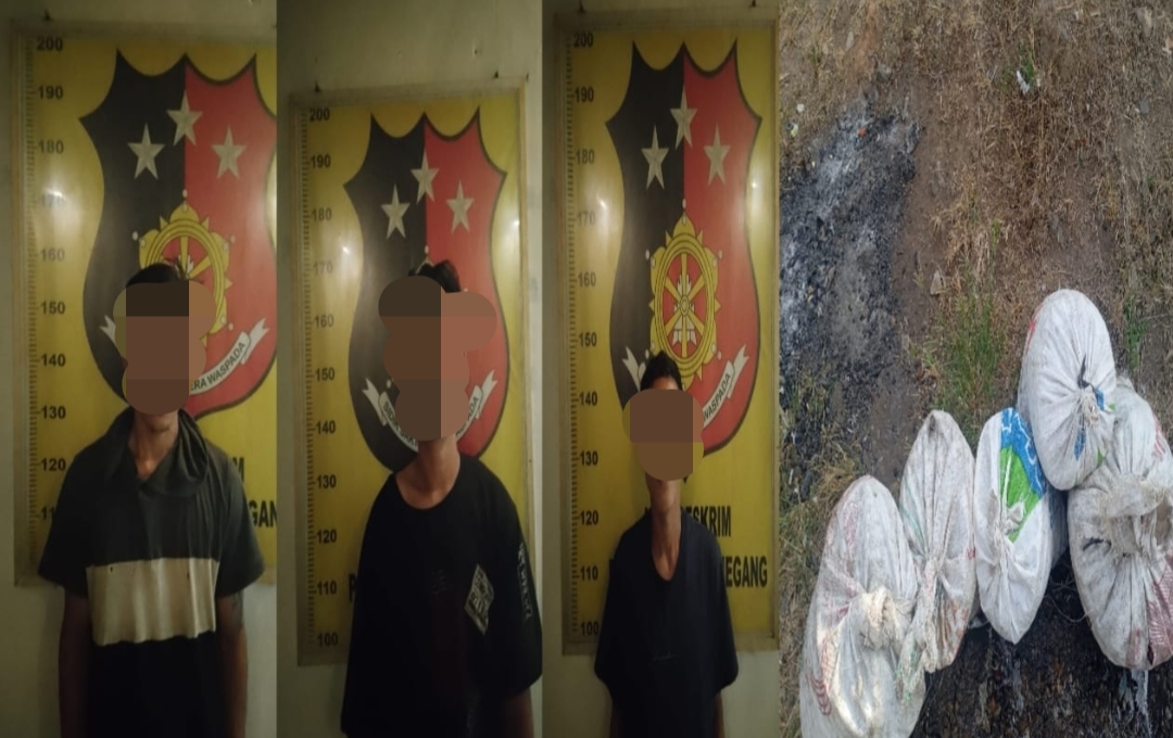 Curi 250 Kg Brondolan Sawit, 3 Pelaku Ditangkap Team Trabazz Polsek Gunung Megang