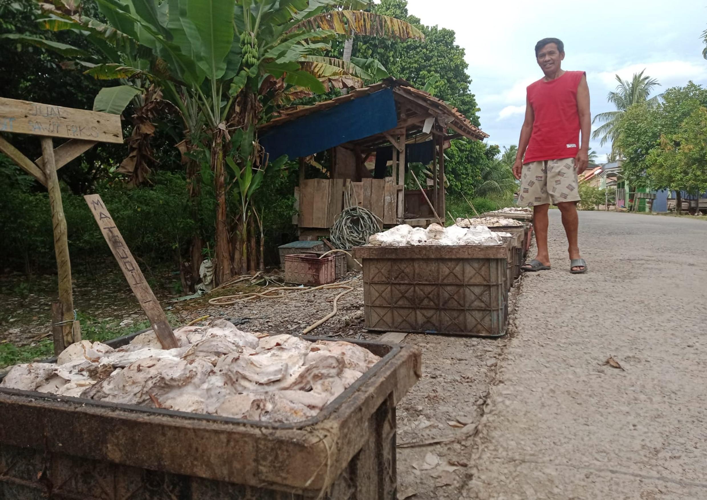 Petani Mengeluh, Harga Karet di Muara Enim Turun, Begini Harapan Mereka