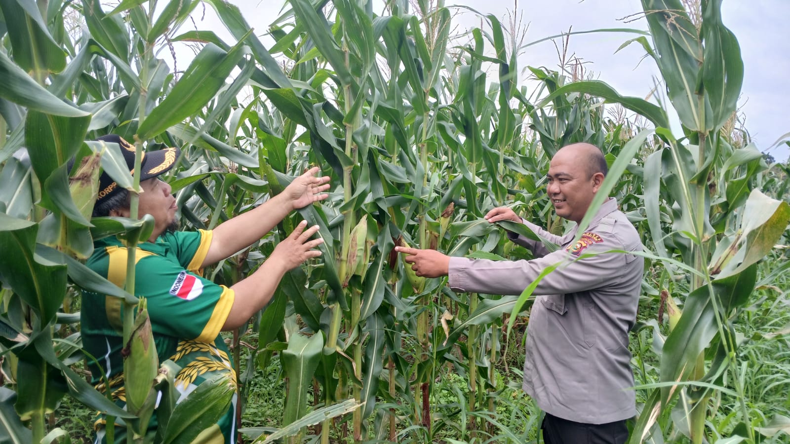 Pastikan Program Ketahanan Pangan Berjalan Optimal