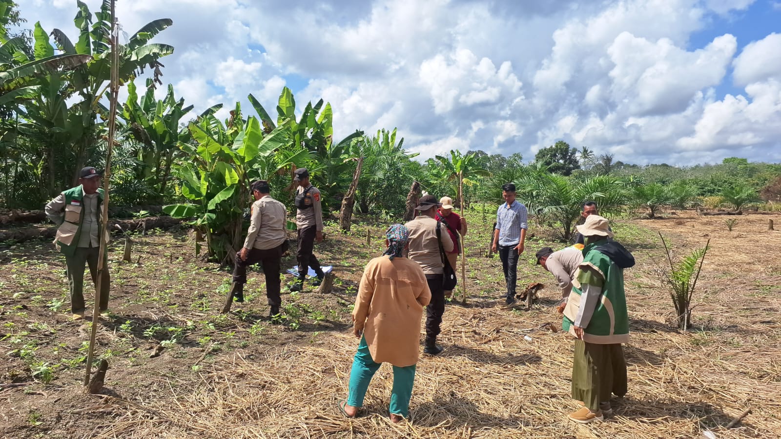 Dorong Ketahanan Pangan dengan Metode Tumpang Sari