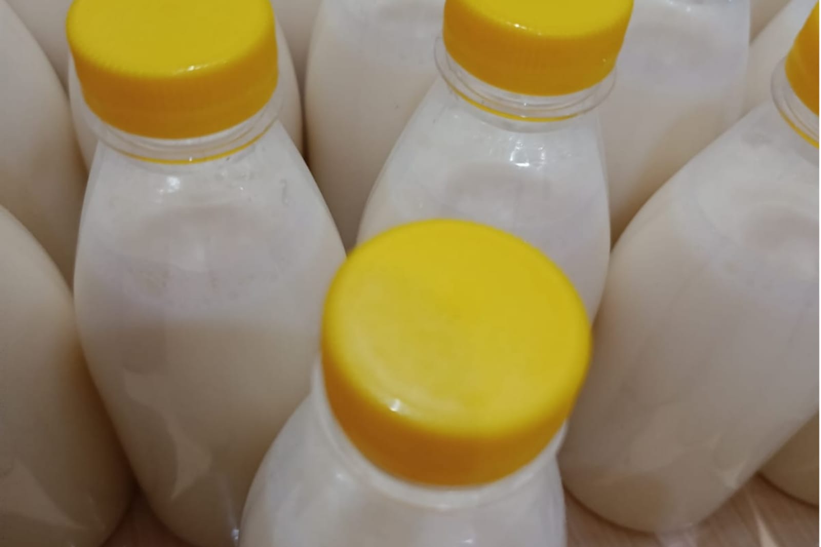 Susu Kedelai Dapat Mencegah Berbagai Penyakit! Aman Bagi Penderita Diabetes dan Cocok Jadi Menu Diet 