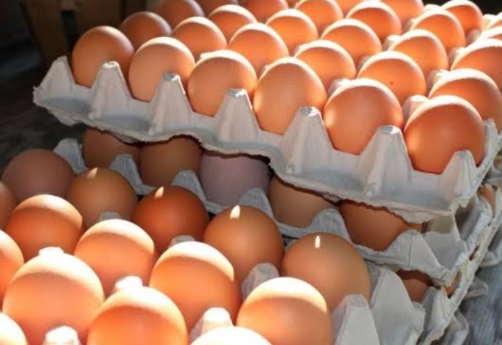 Mulai Hari Ini Pemerintah Bagikan Bansos Ayam dan Telur