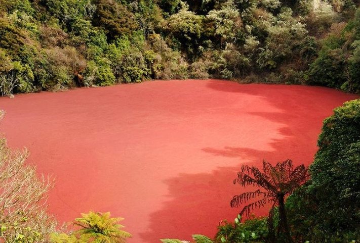 Wow, Danau di Sumatera Selatan Ini Airnya Berwarna Merah, Lokasinya di Sini