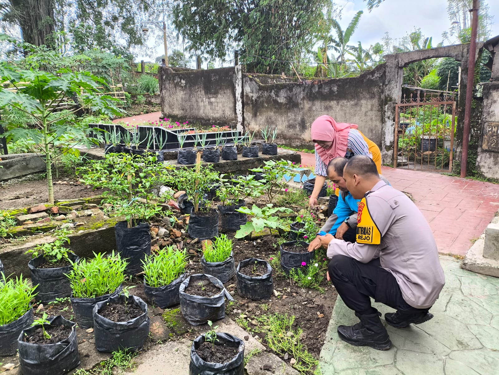 Bhabinkamtibmas Dorong Warga Manfaatkan Pekarangan Rumah