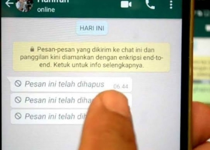 Chat WA Keburu Dihapus, Kamu Ingin Membacanya, Bisa Kok. Gampang, Ini Caranya 