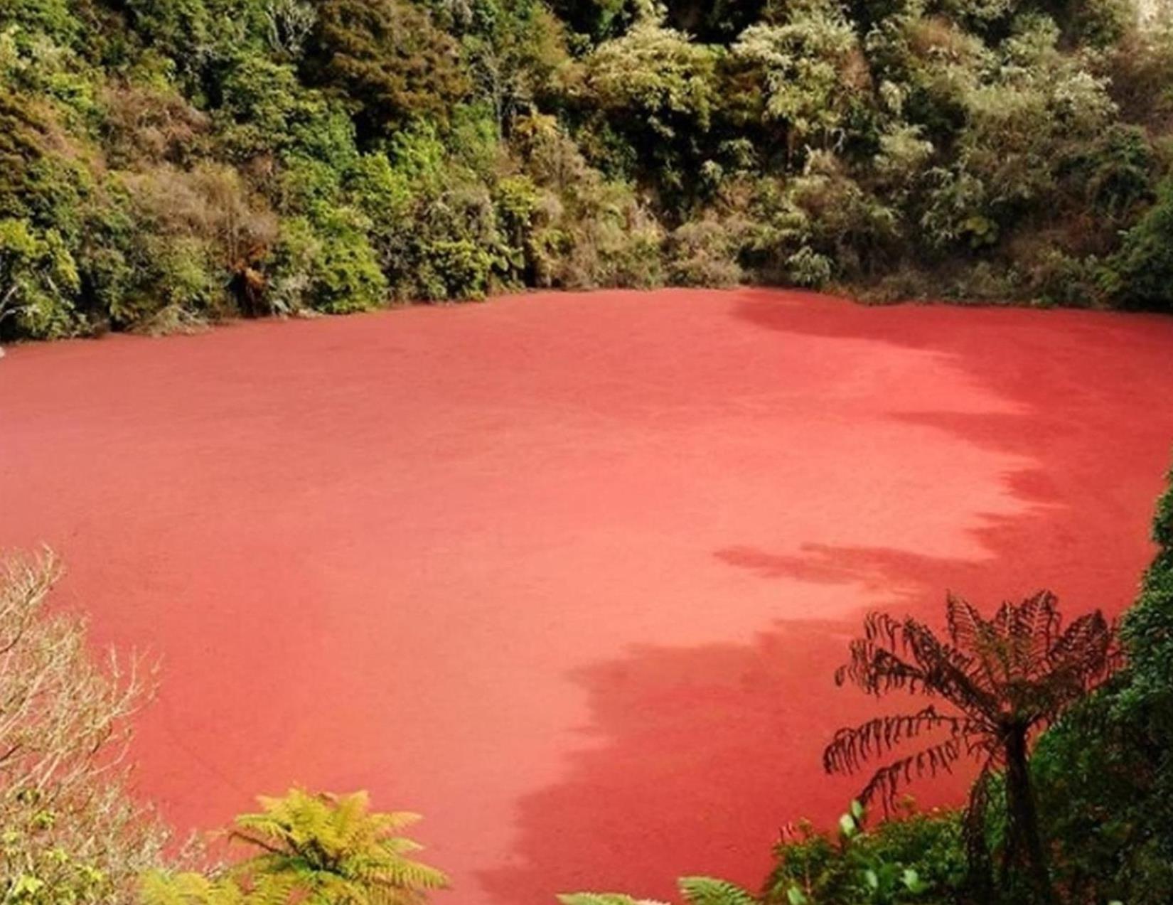 Unik! Danau Ini Berwarna Merah Berlokasi di Sumsel, Kunjungi Yuk