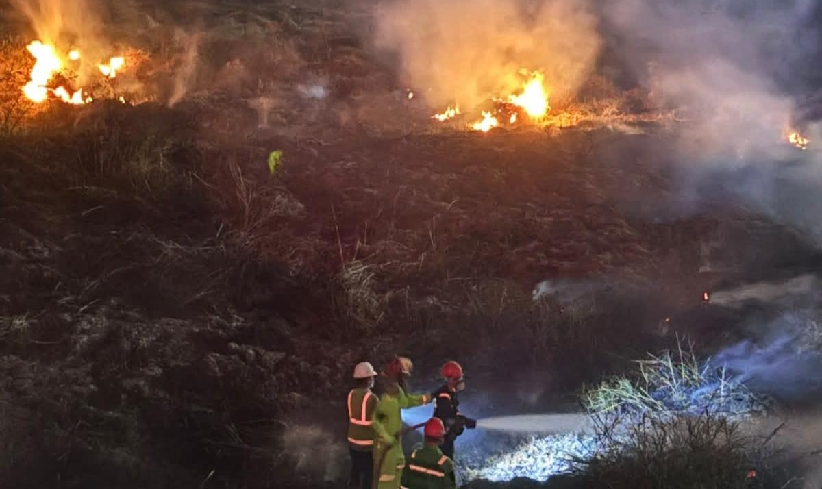 Api Lahap 500 Meter Persegi Lahan Belukar Dekat Rel Lama PTBA