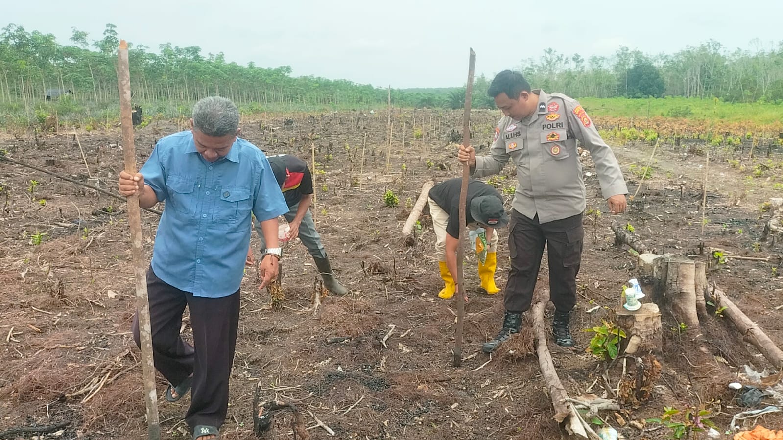 Dukung Ketahanan Pangan, Tanam Jagung di Lahan 2 Hektare