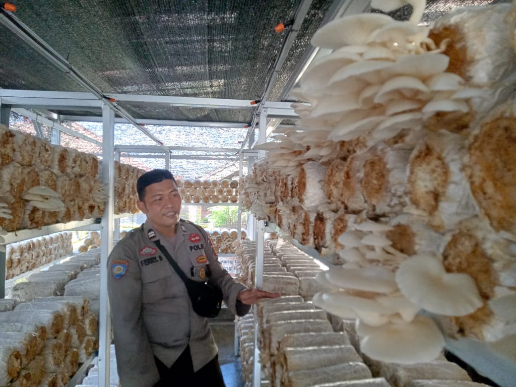 Ciptakan Cemilan Ringan Jajanan Mang Bhabin