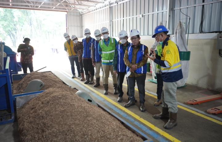 Kembangkan Biomassa dari Kaliandra Merah, PT Bukit Asam Bangun Pilot Plant Wood Pellet