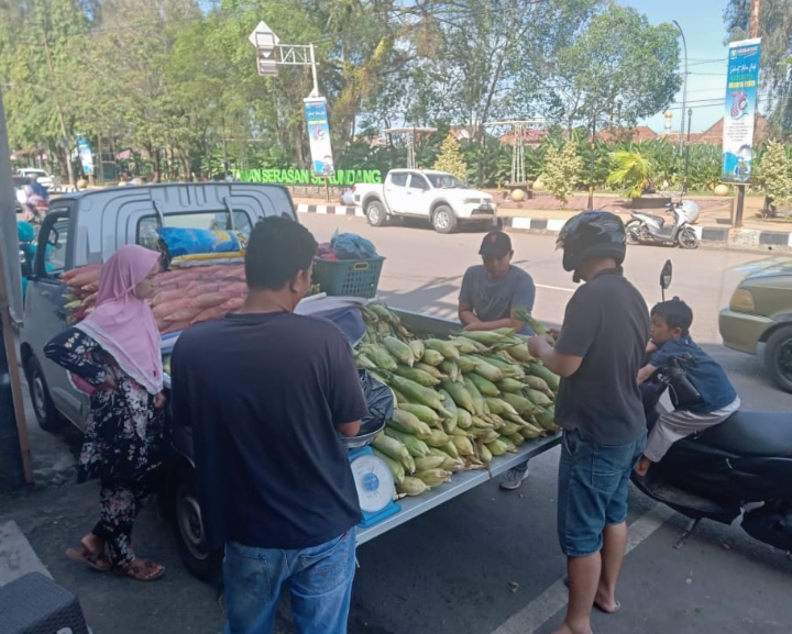 Jelang Pergantian Tahun, Pedagang Jagung di Muara Enim Sumsel Diserbu Pembeli, Segini Harganya