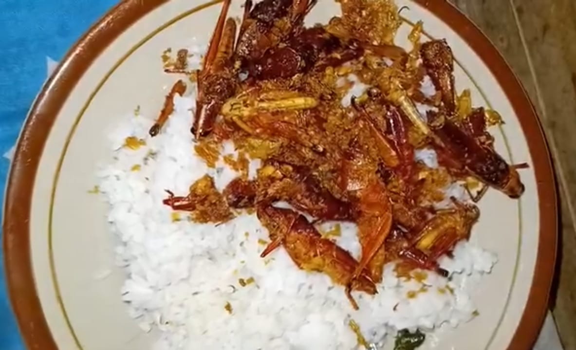 Meski Ekstrim, Belalang Goreng Ternyata Sumber Protein Tinggi