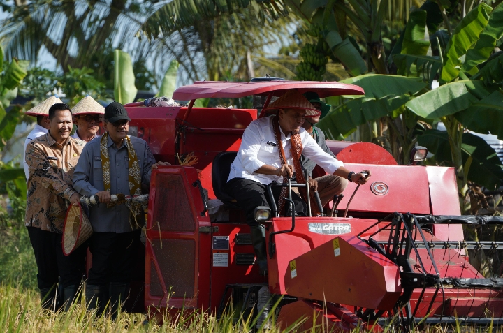 Bersama Wamentan, Pj Bupati Muara Enim Panen dan Tanam Perdana Padi di Muara Belida