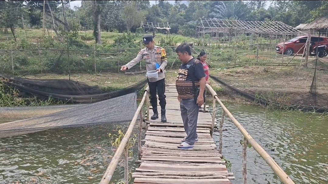 Dukung Ketahanan Pangan Lewat Budidaya Cabai dan Ikan Nila