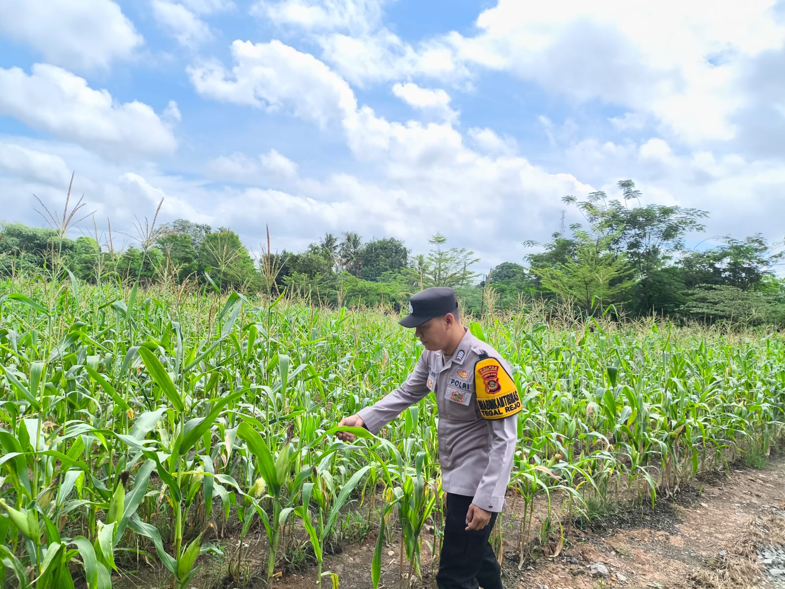 Polsek Lawang Kidul Dukung Program Ketahanan Pangan